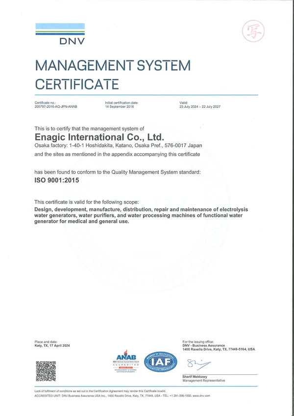 ISO 9001 · Certificate preview